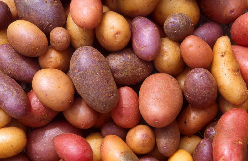 International standards for semi-finished potatoes